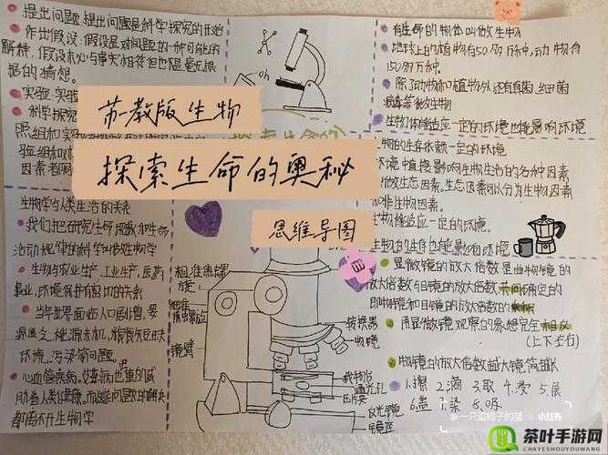 揭秘生命药的神奇奥秘及其复杂合成过程的深入探索研究