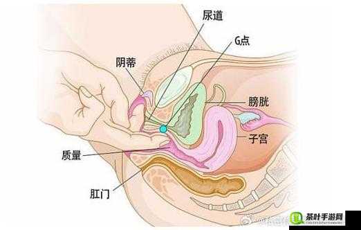 荫蒂高潮与大荫蒂毛萌萌的独特魅力探索